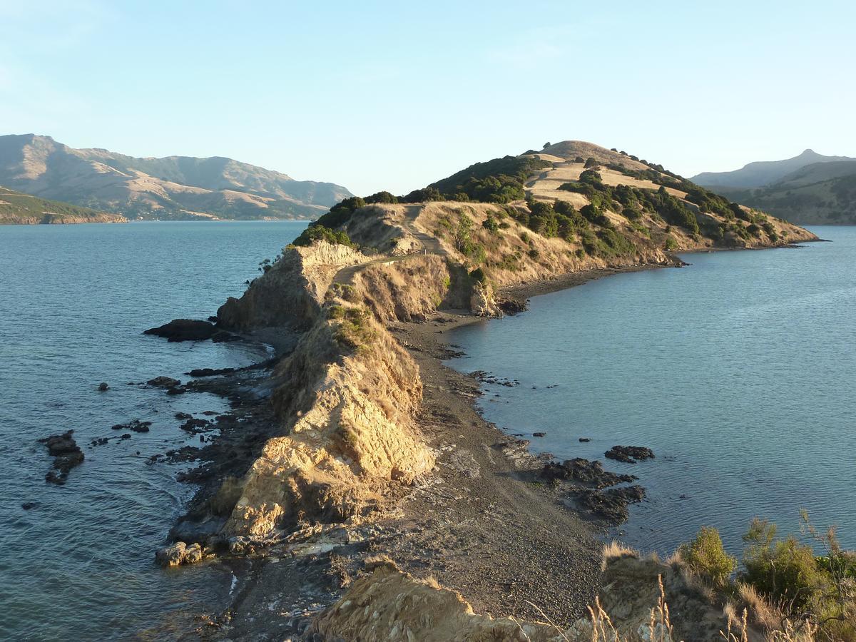 Halfmoon Cottage Akaroa Luaran gambar